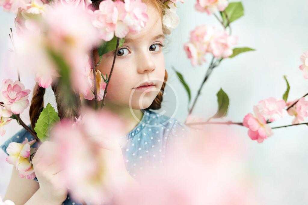 post13-copyright - Da Drawer