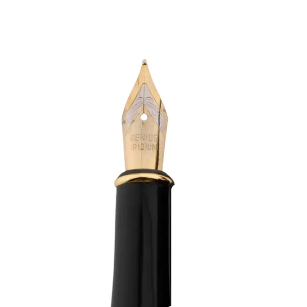 Metal Body Golden Trims & Fine Nib Fountain Pen - Image 3